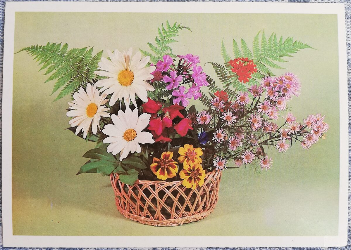 Kompozīcija "Vasaras pušķis" 1979 ziedi 14,5x10,5 cm PSRS pastkarte   