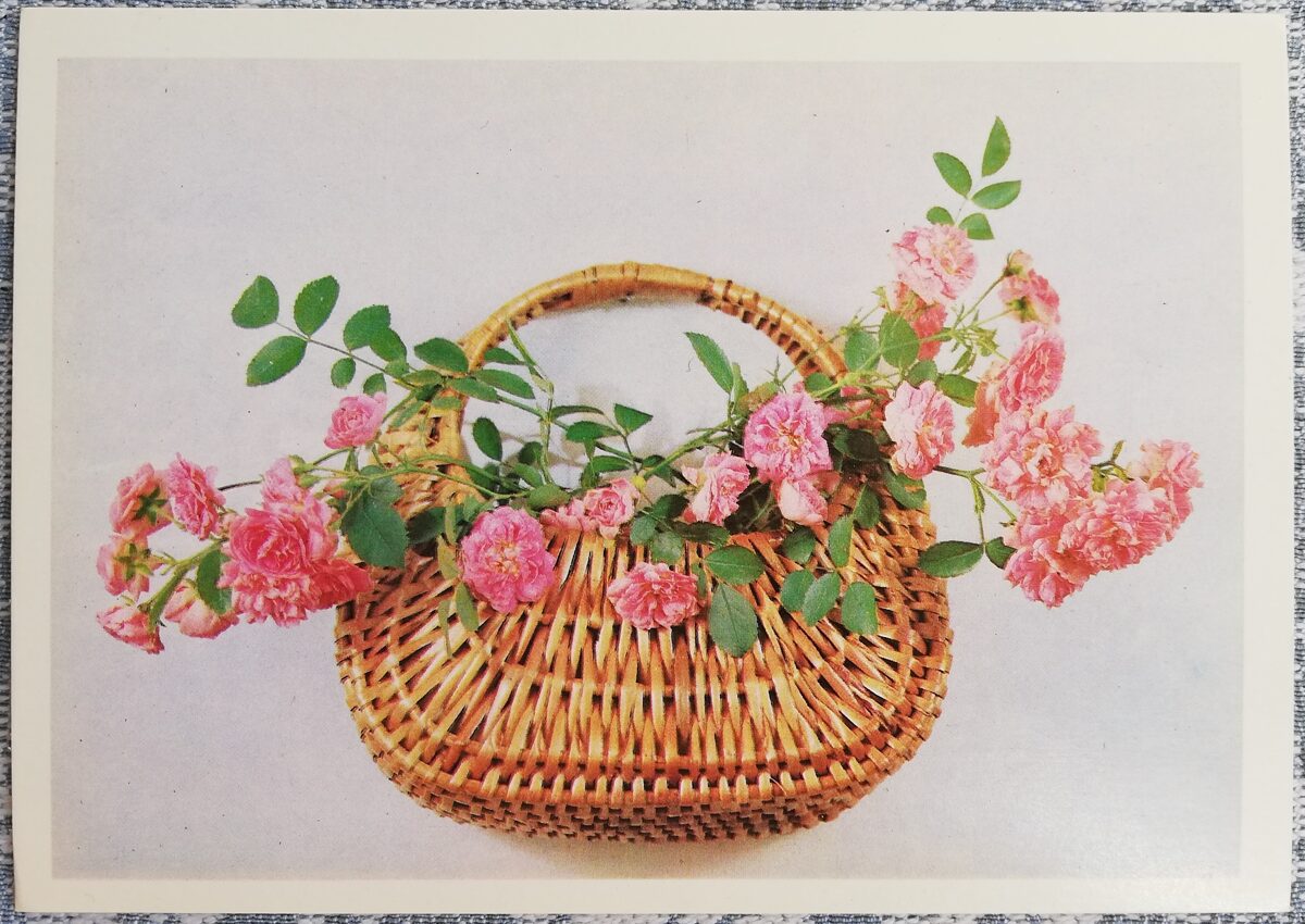 Rožu kompozīcija 1979 ziedi 15x10,5 cm PSRS pastkarte   