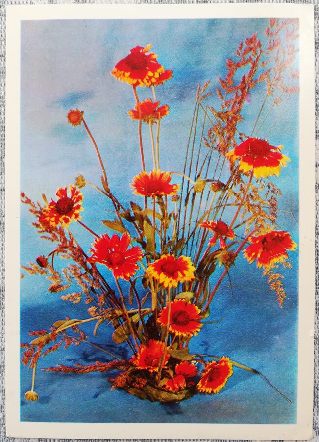 Ziedu kompozīcija 1979 ziedi 10,5x15 cm PSRS pastkarte   