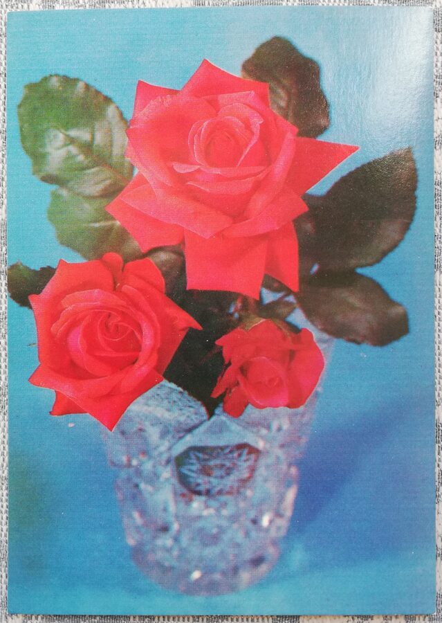 Rozes kristāla vāzē 1979 ziedi 10,5x15 cm PSRS pastkarte  
