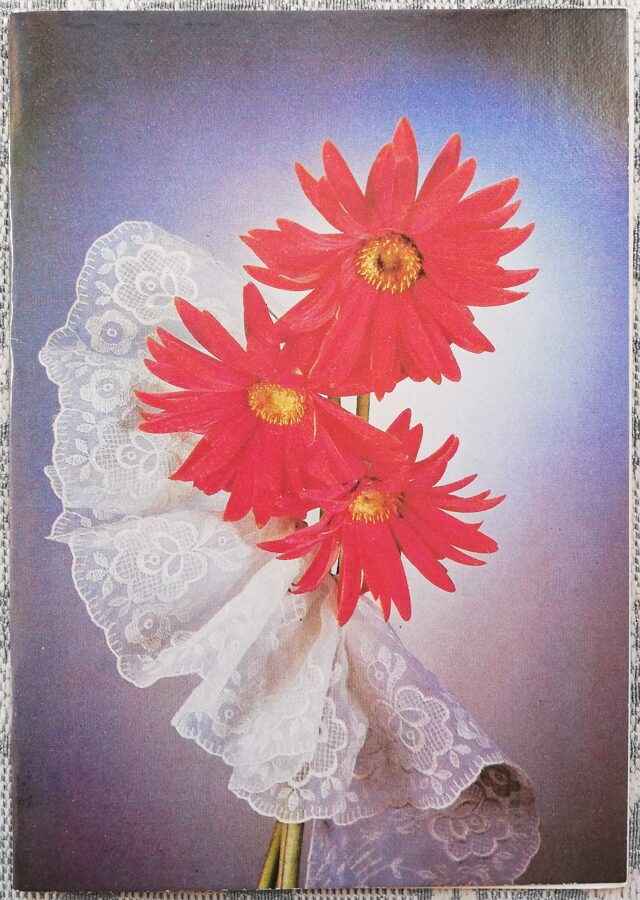 Gerberas 1988 flowers 10.5x15 cm USSR postcard  
