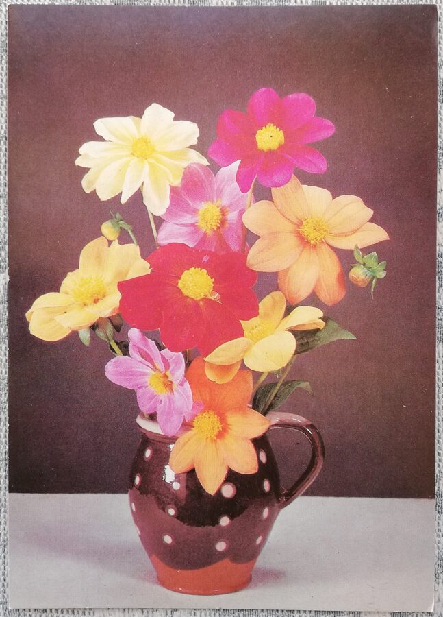 Kosmeja keramikas krūzē 1988 ziedi 10,5x15 cm PSRS pastkarte  