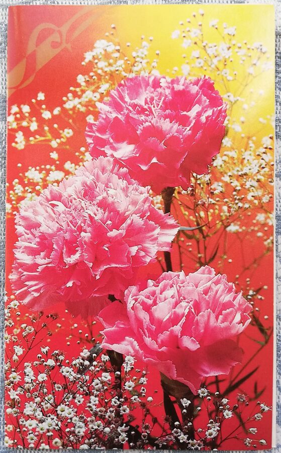 Neļķes 1988 ziedi 9,5x15,5 cm PSRS pastkarte   