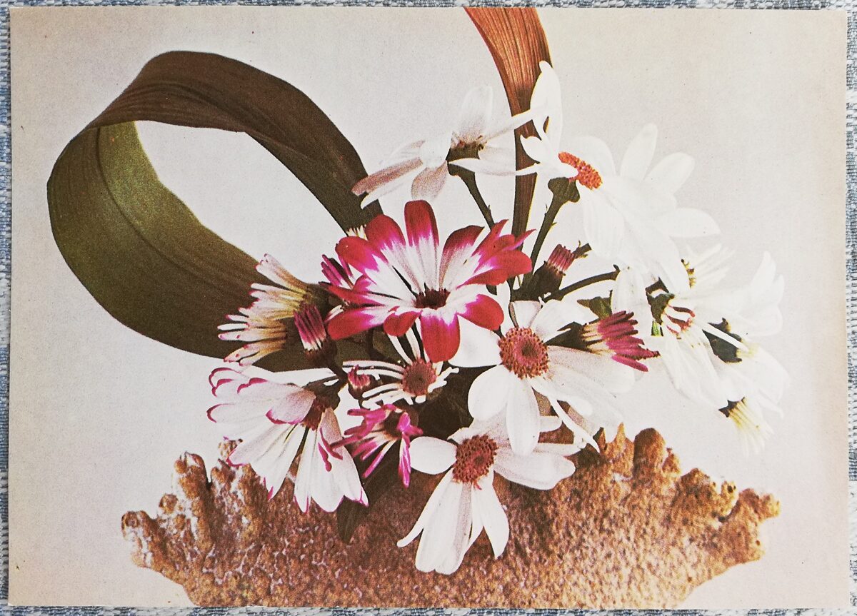 Pušķis 1988 ziedi 15x10,5 cm Latvijas pastkarte  