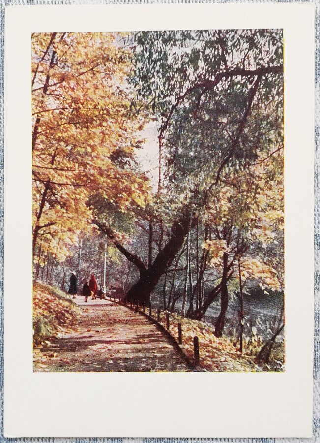 Насаждения у городского канала 1958 Рига 10,5x15 см Латвийская открытка  