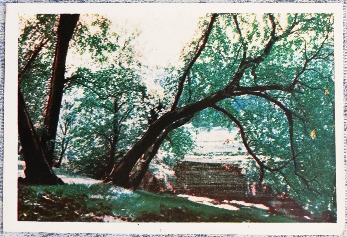 Pilsētas kanāls 1960 vasarā Rīga 15x10,5 cm Latvijas pastkarte    