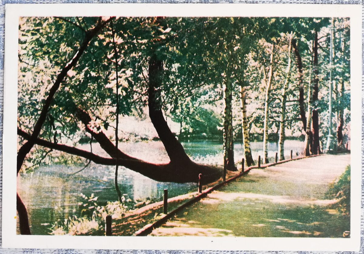 Pilsētas kanāls 1960 Rīga 15x10,5 cm Latvijas pastkarte  