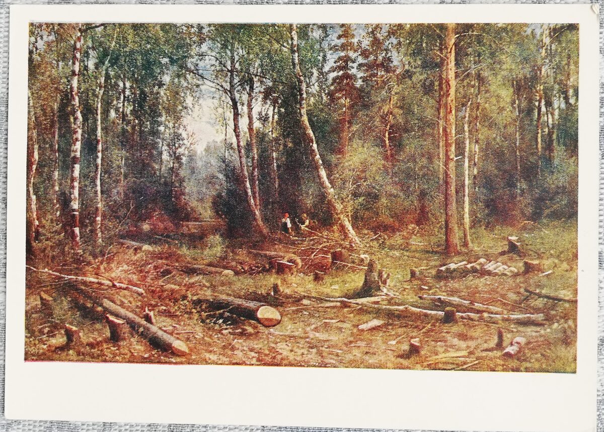 Ivans Šiškins 1960 "Bērzu mežs" 15x10,5 cm mākslas pastkarte PSRS   