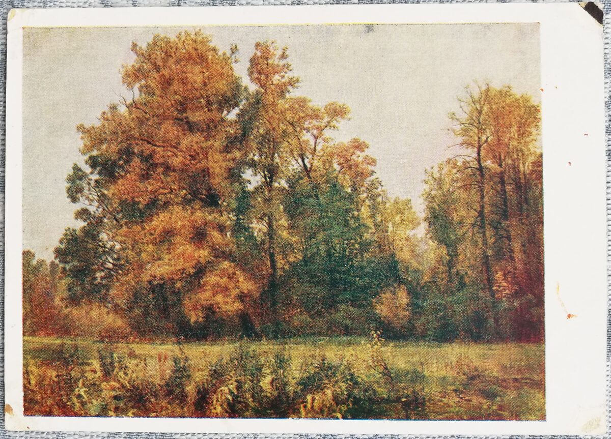 Ivans Šiškins 1960 "Rudens" 15x10,5 cm mākslas pastkarte PSRS  