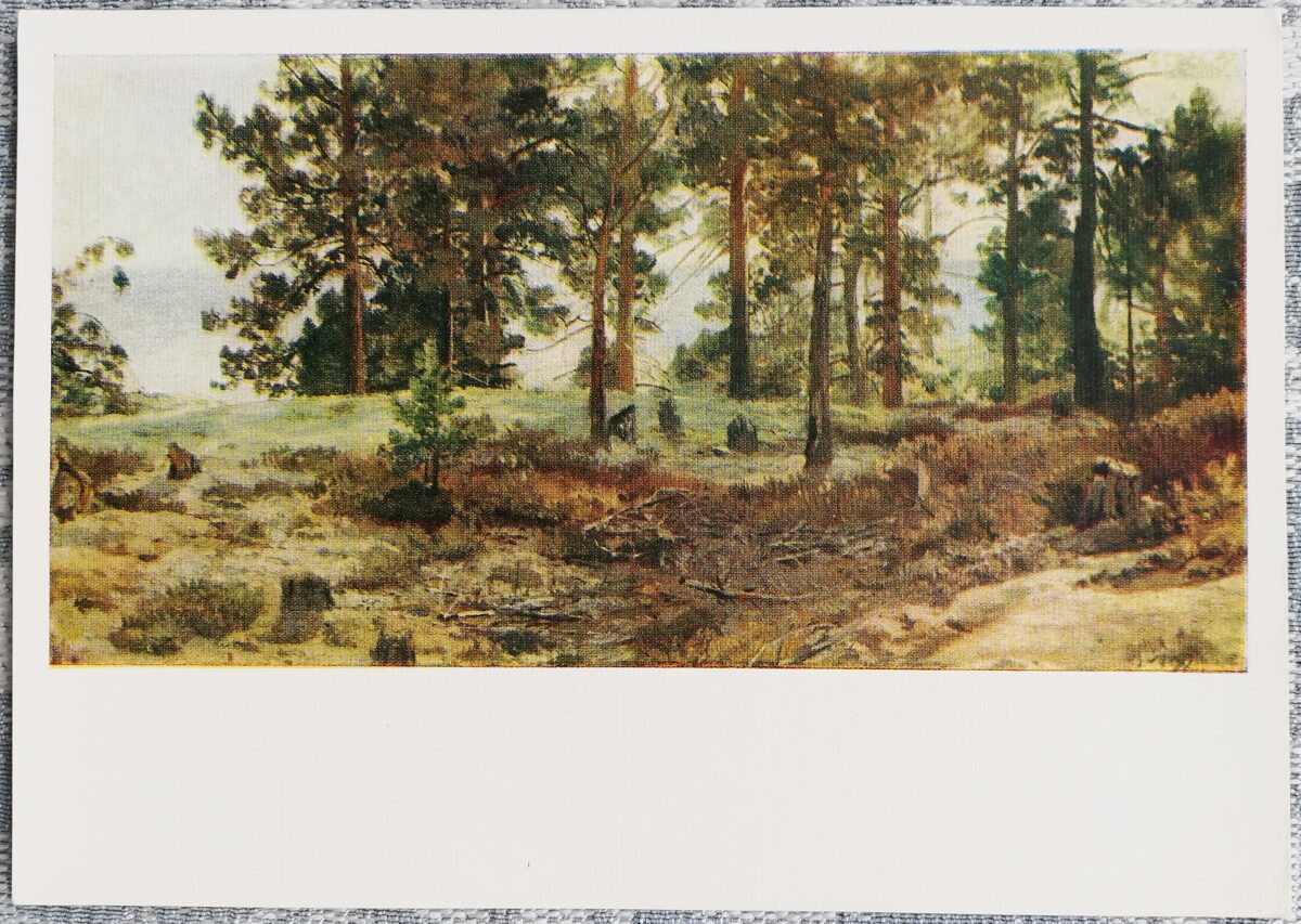 Ivans Šiškins 1958 "Uz smilšainas zemes" 15x10,5 cm mākslas pastkarte PSRS  