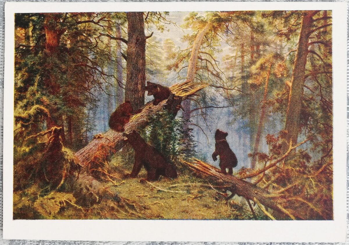 Ivans Šiškins 1959 "Rīts priežu mežā" 15x10,5 cm mākslas pastkarte PSRS  