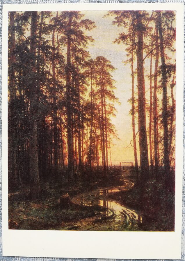 Ivans Šiškins 1982 "Vakars priežu mežā" 10,5x15 cm PSRS mākslas pastkarte    