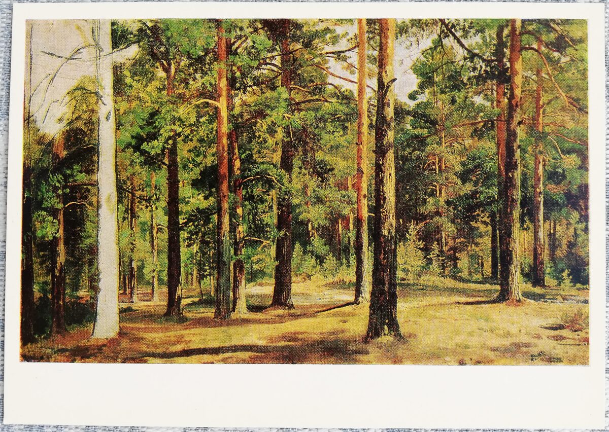 Ivans Šiškins 1982 "Priežu mežs" 15x10,5 cm PSRS mākslas pastkarte  