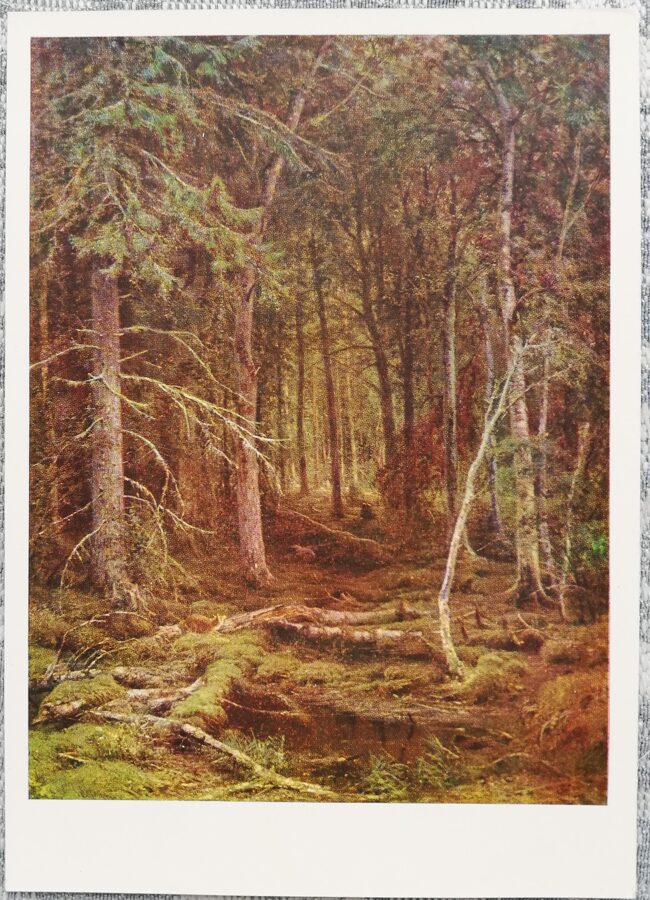 Ivans Šiškins 1968 "Meža biezoknis" 10,5x15 cm PSRS mākslas pastkarte  