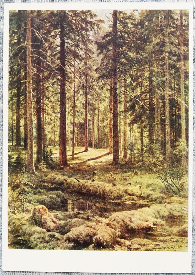 Ivans Šiškins 1967 “Skujkoku mežs. Saulaina diena." 10,5x15 cm PSRS mākslas pastkarte  