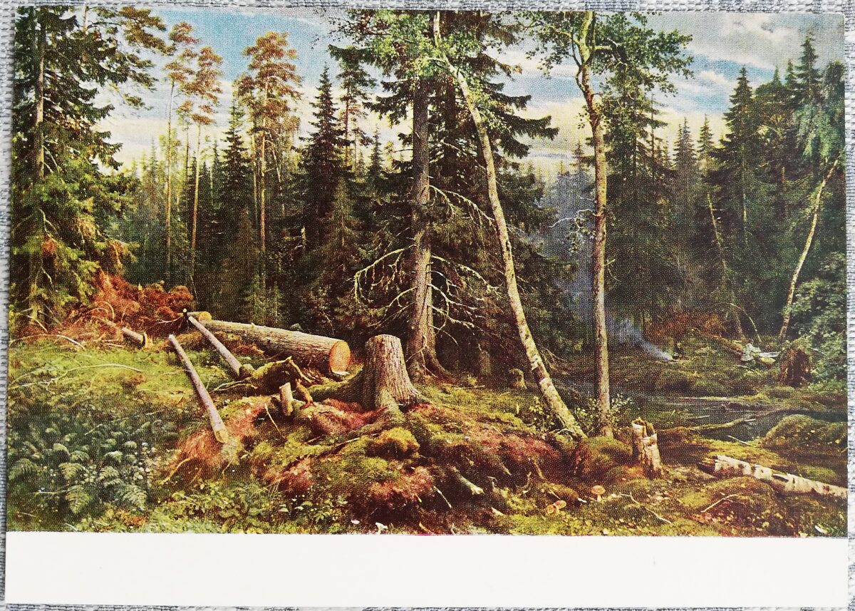 Ivans Šiškins 1967 "Mežu izciršana" 15x10,5 cm PSRS mākslas pastkarte  