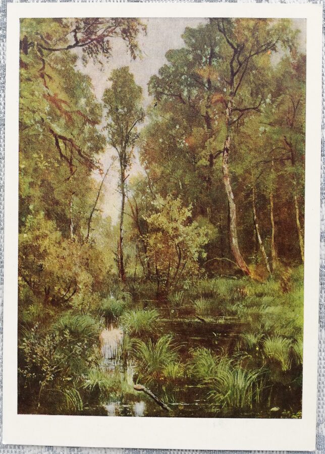 Ivans Šiškins 1966 "Aizaudzis dīķis meža malā" 10,5x15 cm PSRS mākslas pastkarte  