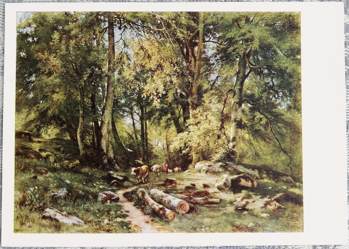 Ivans Šiškins 1965 "Mežā" 15x10,5 cm mākslas pastkarte PSRS  