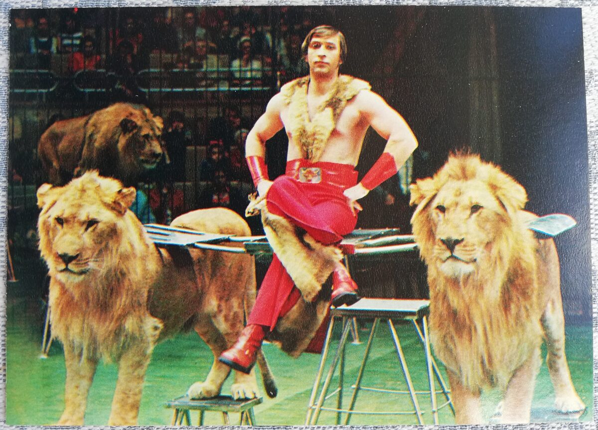 Cirks 1979 Atrakcija "Āfrikas lauvas", pieradinātājs Nikolajs Skvirskis 15x10,5 cm PSRS pastkarte  