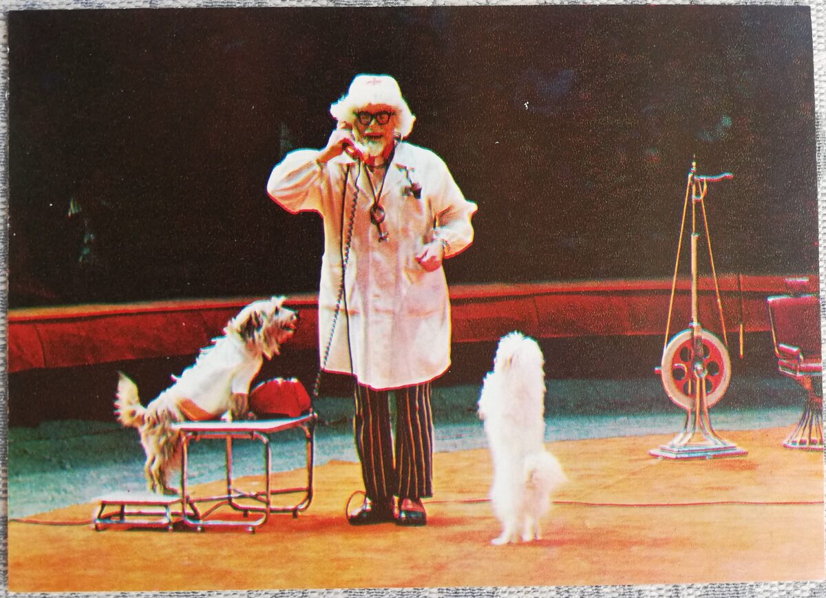 Circus 1979 Alexander Popov in the circus number "Doctor Aibolit" 15x10.5 cm USSR postcard  