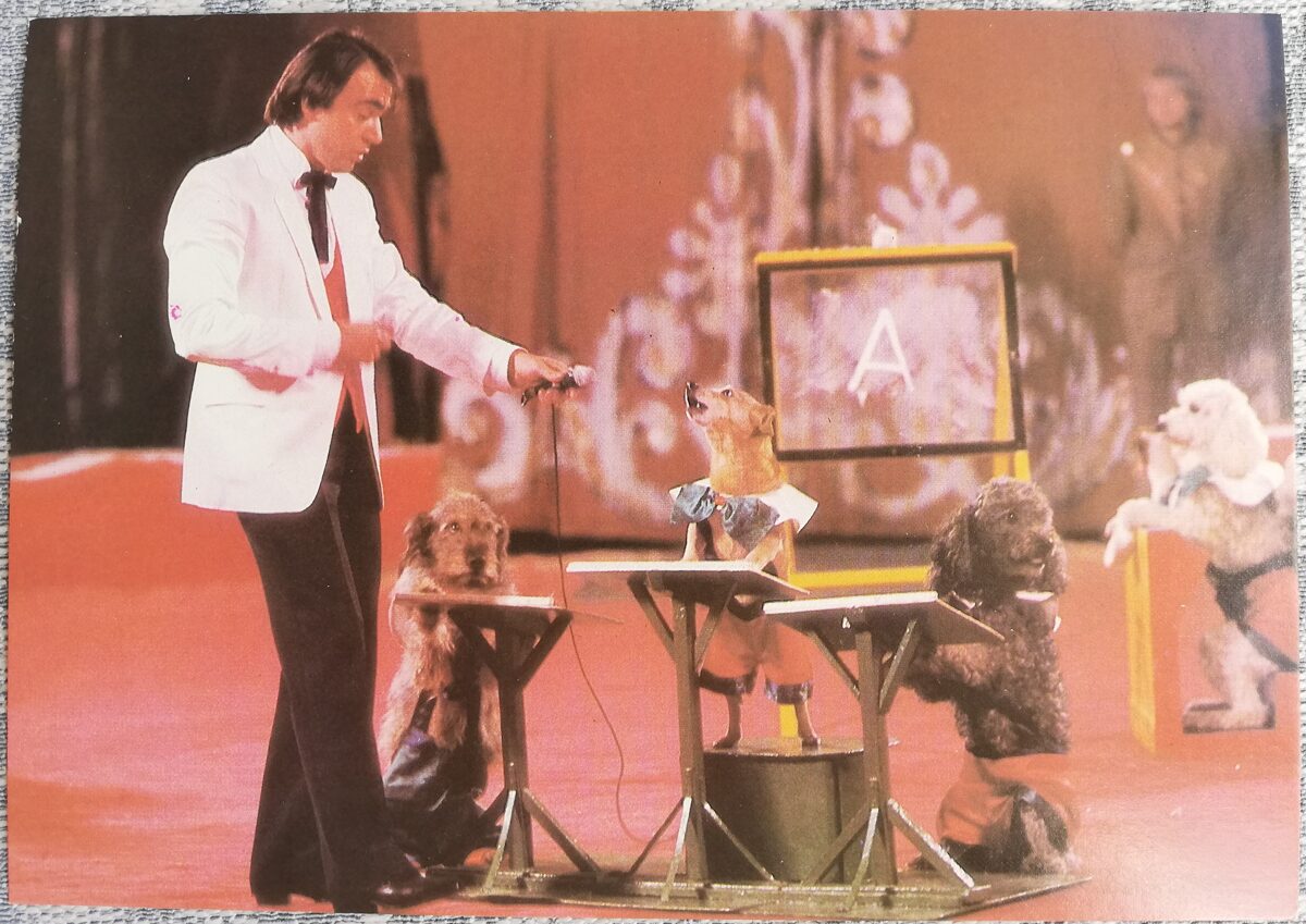Цирк 1986 Фрагмент циркового номера Николая Ермакова «Собачья школа» 15x10,5 см открытка СССР  