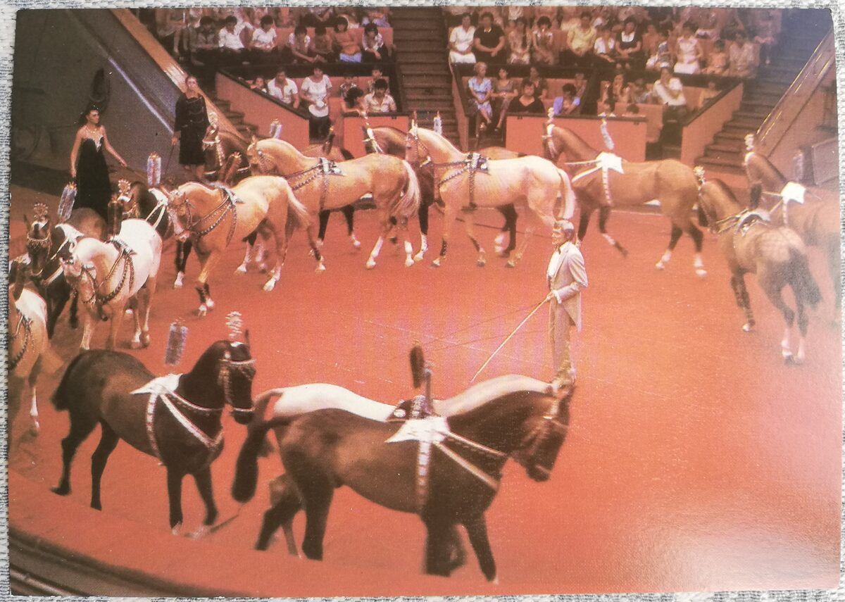 Цирк 1986 Конный цирковой номер артиста Алексея Соколова 15x10,5 см открытка СССР  