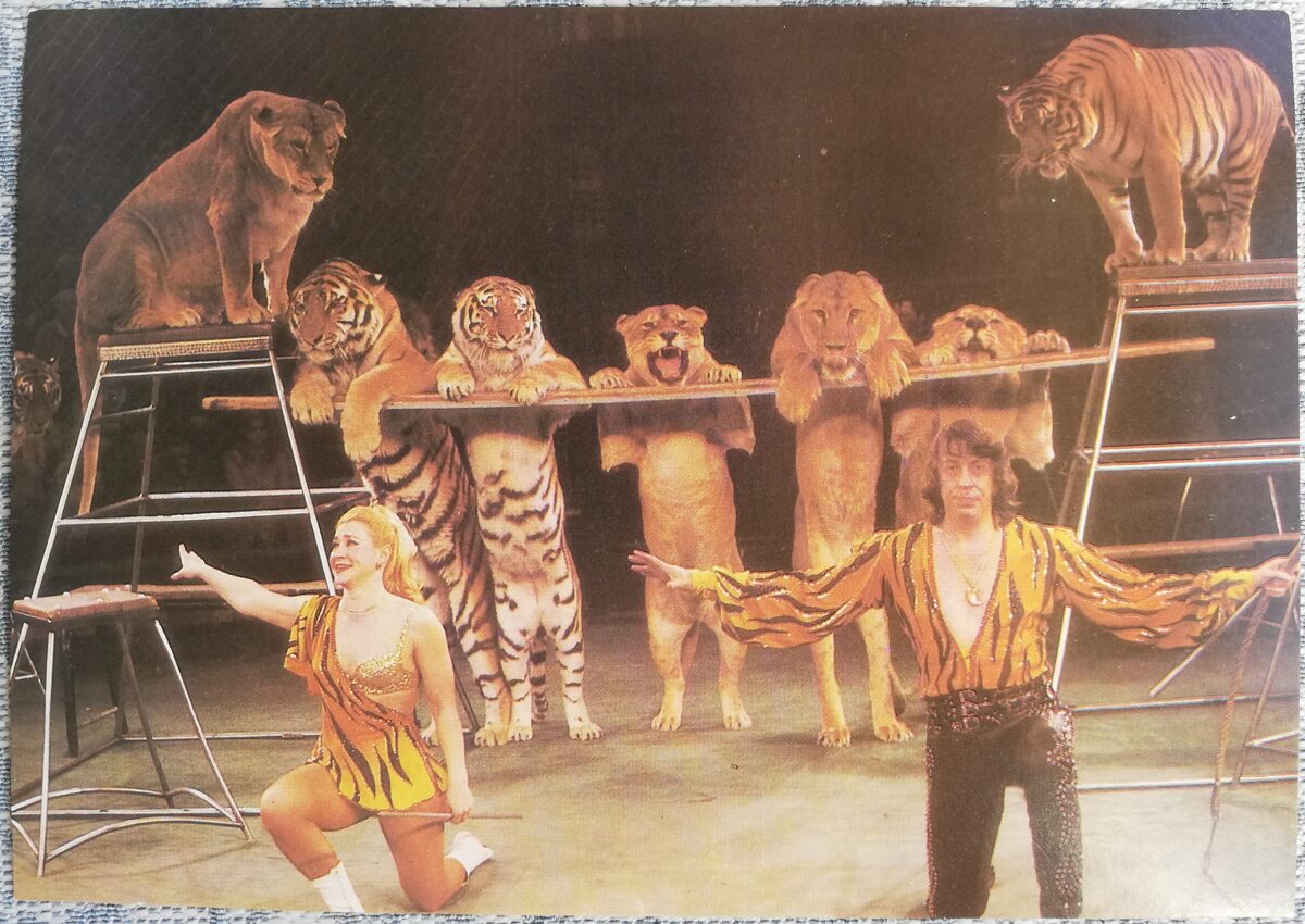 Circus 1986 Attraction with predators Lyudmila and Vladimir Shevchenko 15x10.5 cm USSR postcard  