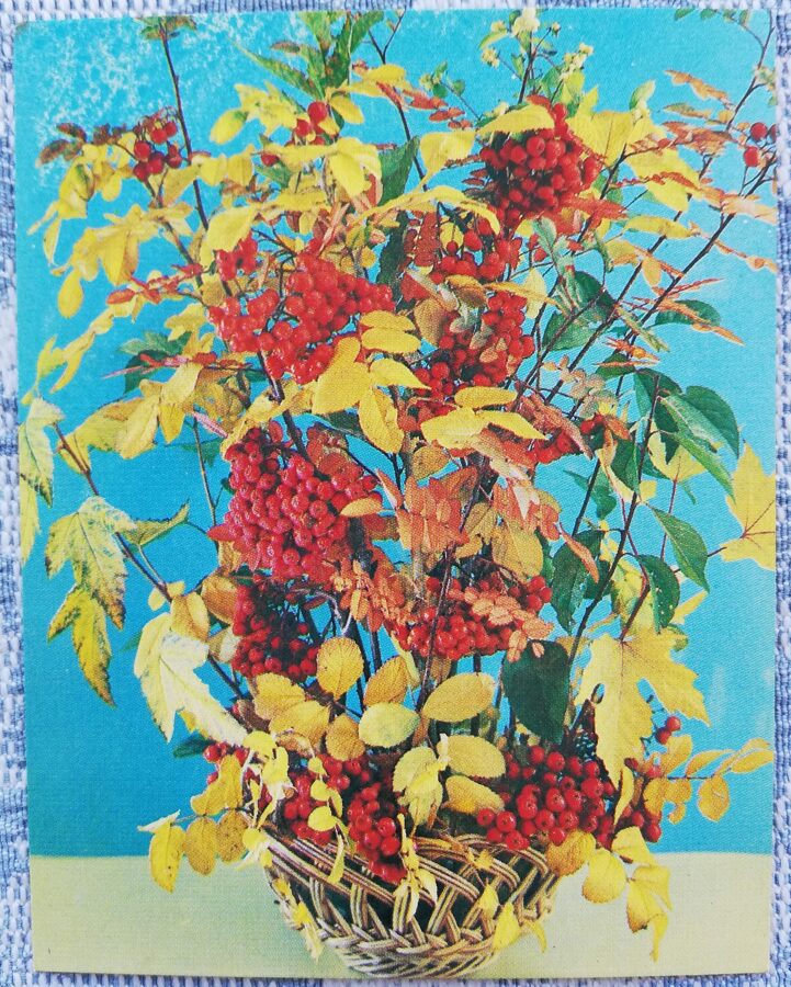 Ziedi 1990 Rudens pušķis ar sarkanām irbenēm 7x9 cm MINI PSRS pastkarte  