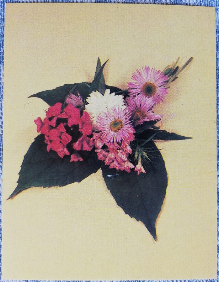 Ziedi 1984 MINI 7x9 cm PSRS pastkarte  