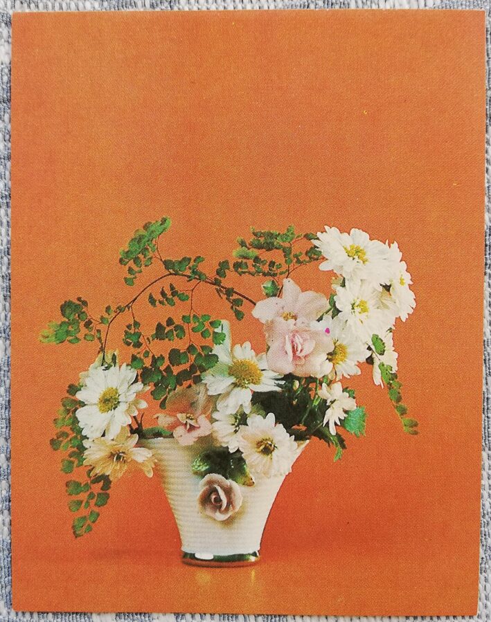 Ziedi 1984 Margrietiņas 7x9 cm MINI PSRS pastkarte  