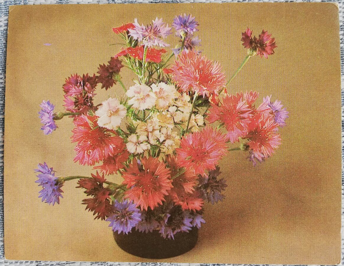 Ziedi 1984 Rudzupuķes 9x7 cm MINI PSRS pastkarte  