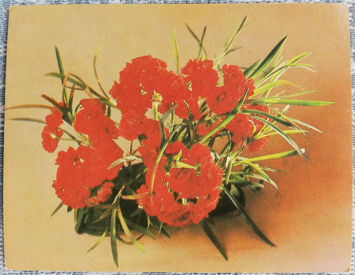 Ziedi 1984 MINI 9x7 cm PSRS pastkarte  