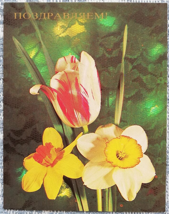 Congratulations 1984 Tulip and daffodils 9x7 cm MINI USSR postcard 