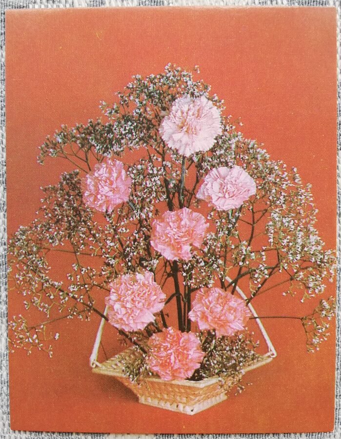 Ziedi 1989 Rozā neļķes 7x9 cm MINI PSRS pastkarte  