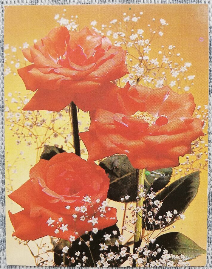 С днём рождения! 1989 Красные розы 7x9 см МИНИ открытка СССР  