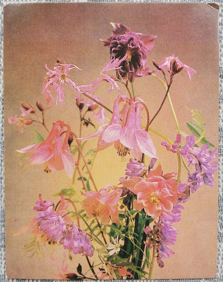 Happy Birthday! 1989 Flowers 7x9 cm MINI USSR postcard  
