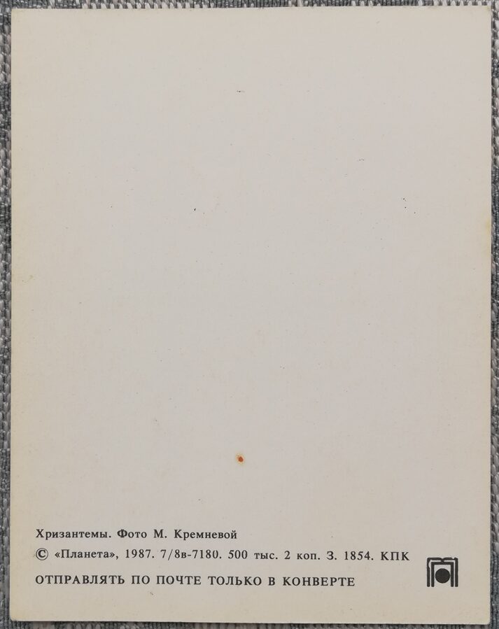 Ziedi 1987 Krizantēmas 7x9 cm MINI PSRS pastkarte  