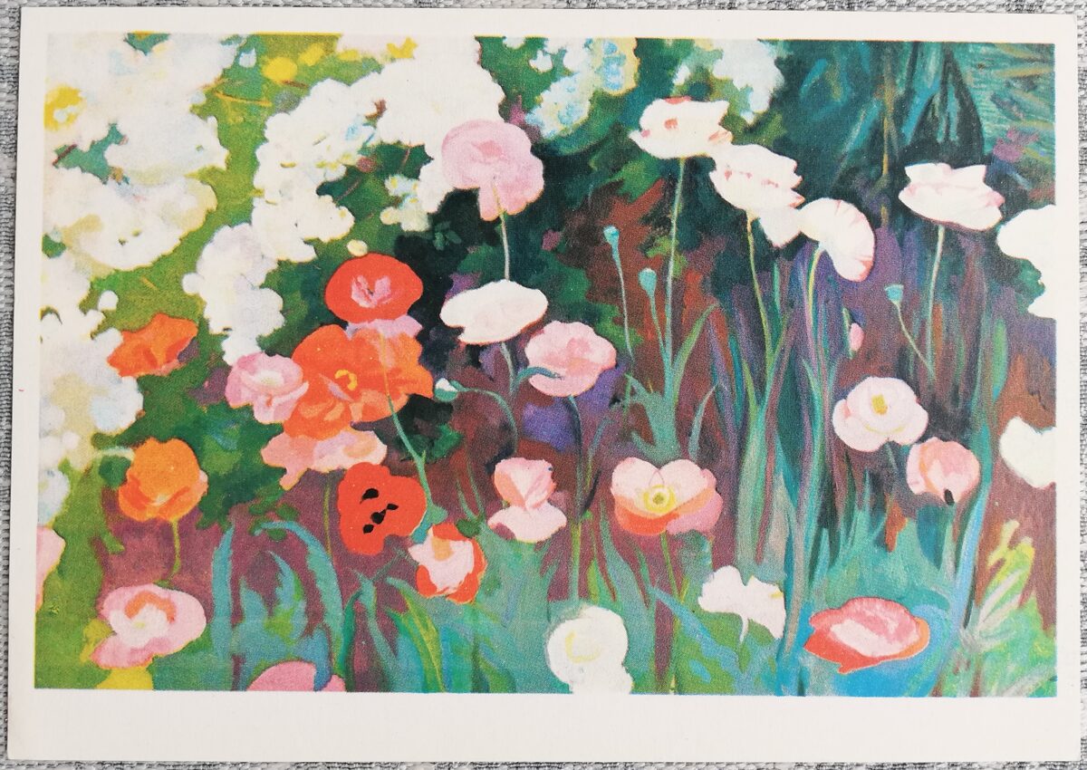 Оганес Зардарян 1982 Маки Бюракана 15x10,5 см открытка СССР  