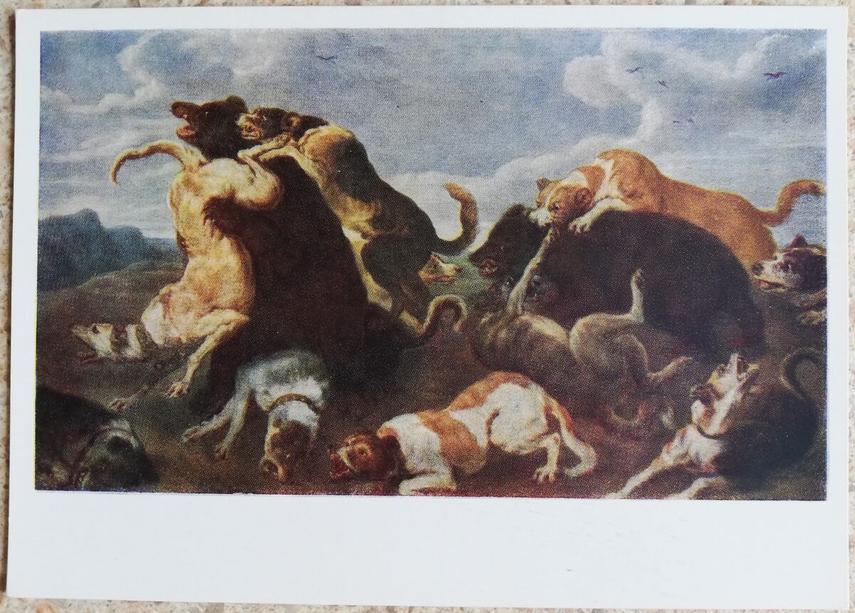 Paul de Vos 1959 Lāču medības 15x10,5 cm PSRS pastkarte  