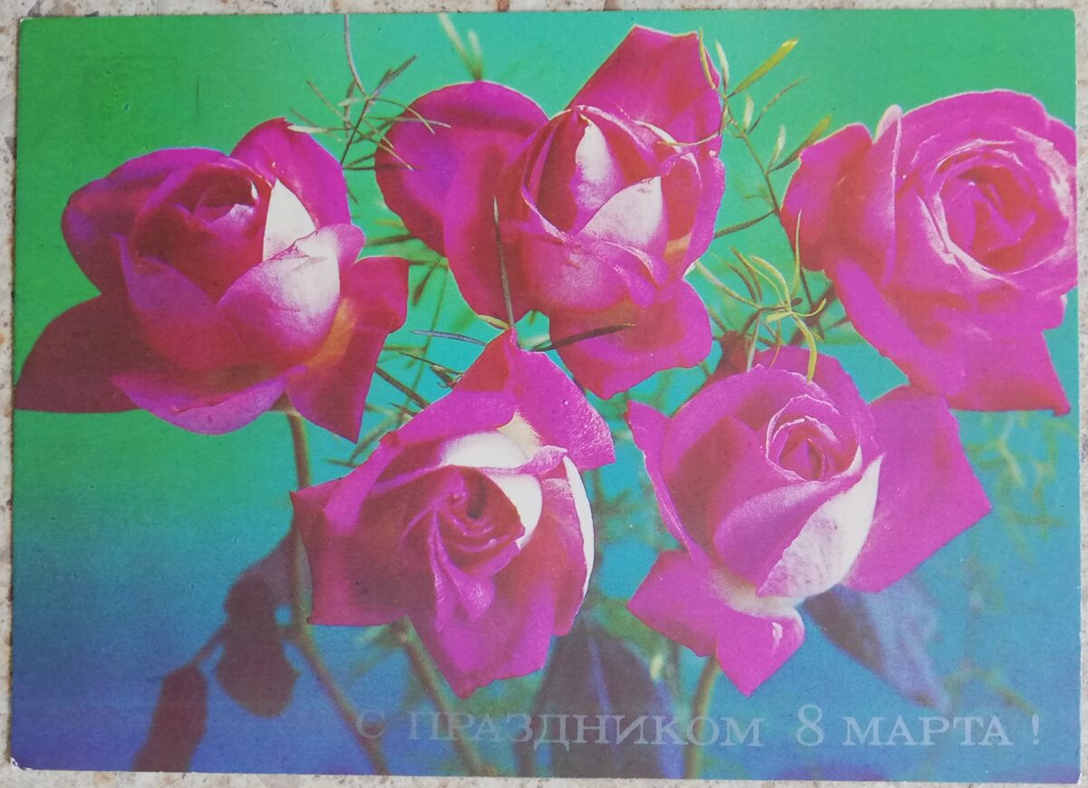 С праздником 8 марта 1987 Розовые розы 15x10,5 см открытка СССР  