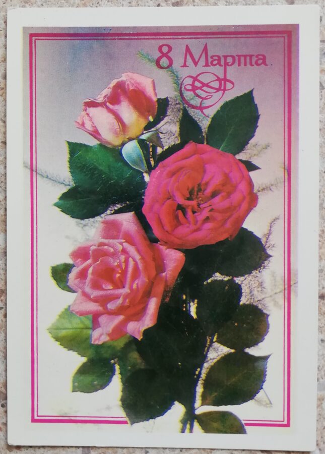 8 марта 1982 Розовые розы 10,5x15 см открытка СССР  