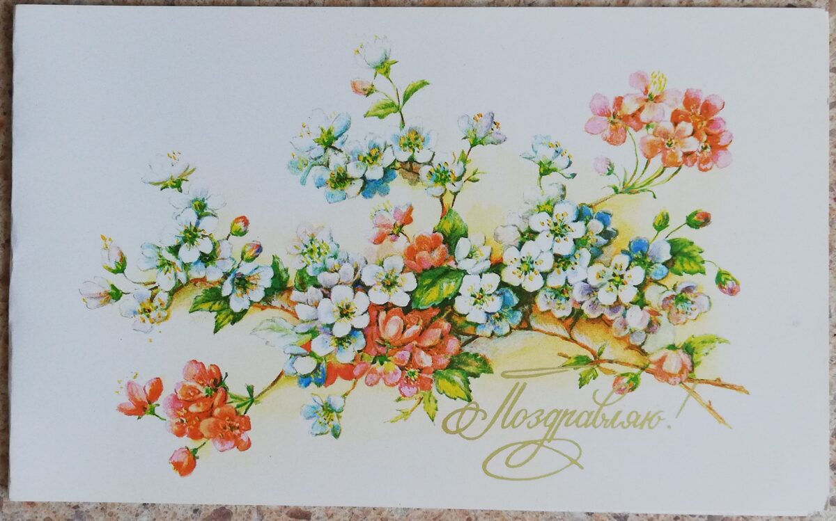 Congratulations 1990 Jasmine 15.5x9.5 cm USSR postcard  