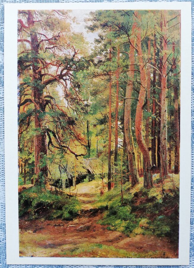 Ivans Šiškins 1982 Priežu mežs 10,5x15 cm PSRS mākslas pastkarte  