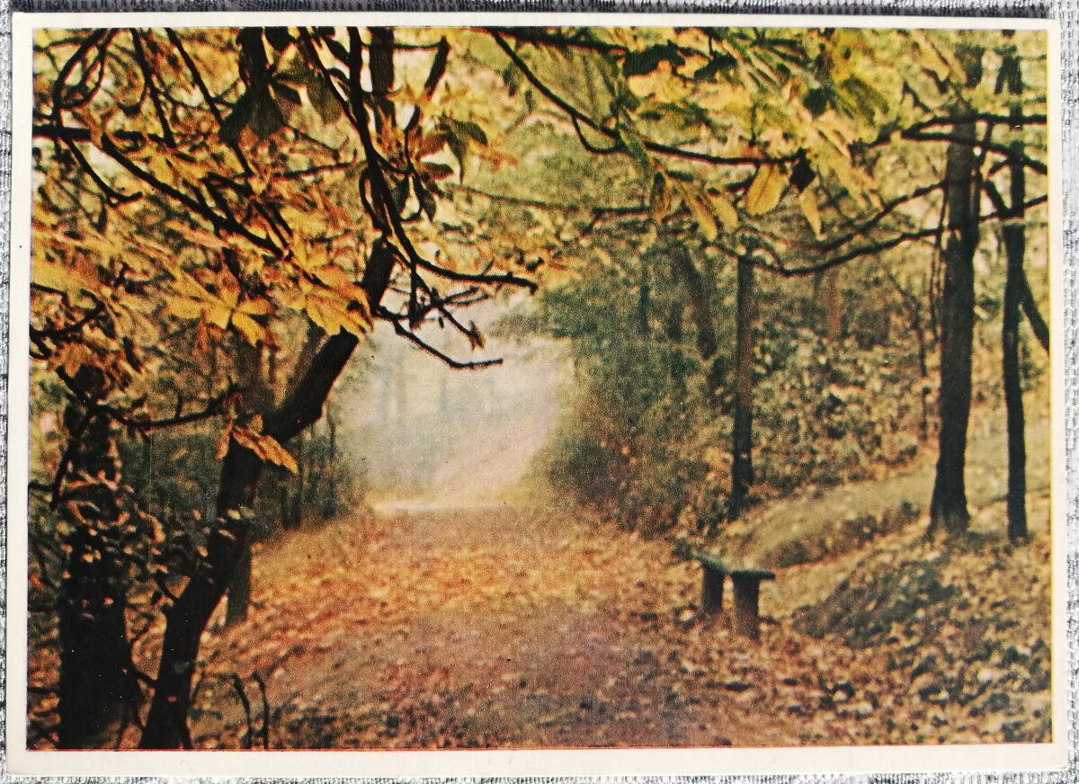 Каунас. Парк осенью 1956 Каунас 15x10,5 см литовская открытка  