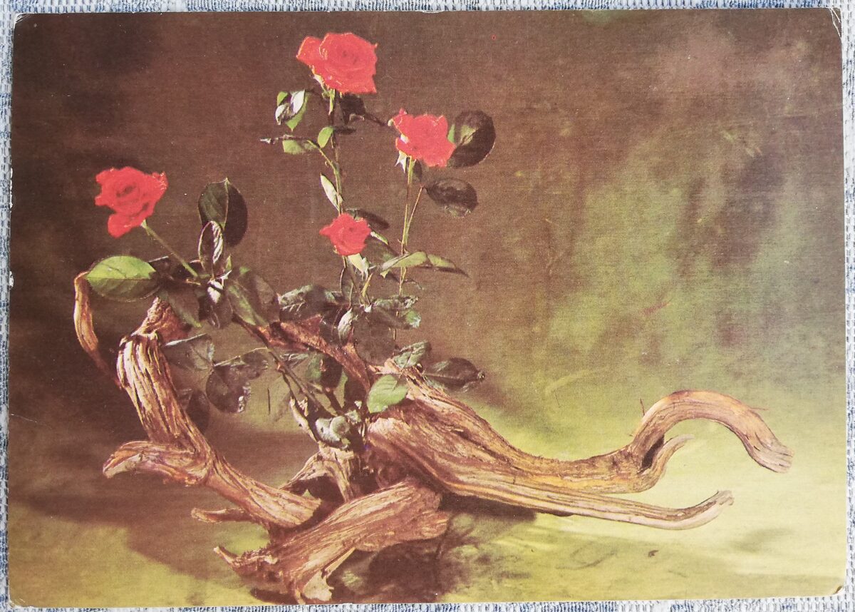 1981 Rozes un koka dekori 15x10,5 cm ziedi pastkarte PSRS  