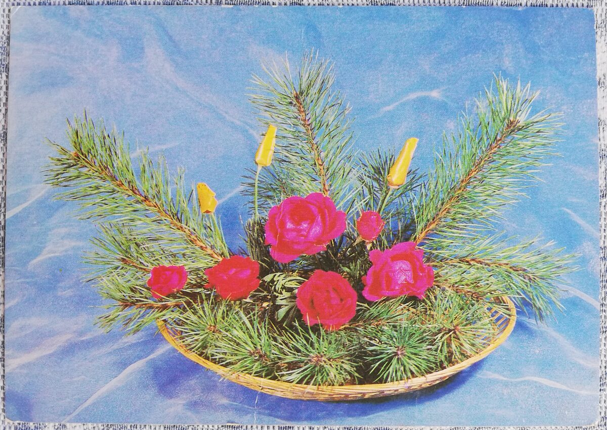 1981 Rozes un priežu zari 15x10,5 cm ziedi PSRS pastkarte  