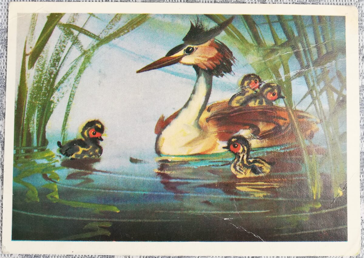 Bērnu pastkarte 1980 Cekuldūkuris PSRS 15x10,5 cm  