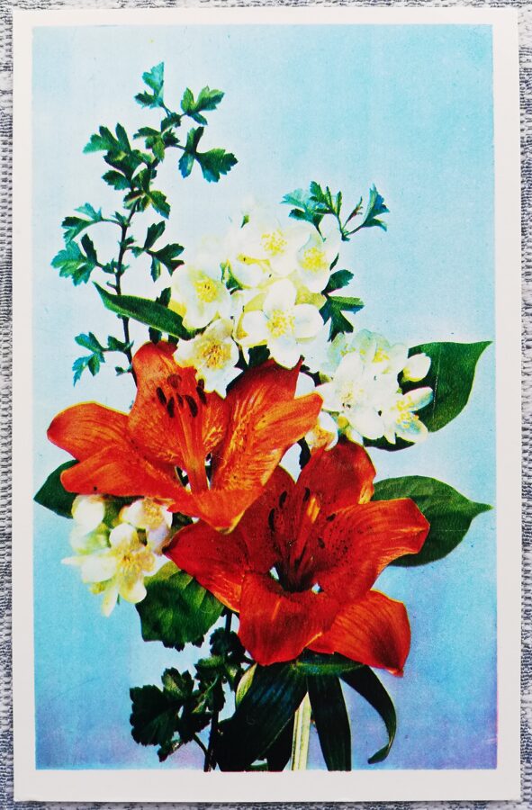 Congratulations! 1976 Lilies and jasmine 9x14 cm USSR postcard  