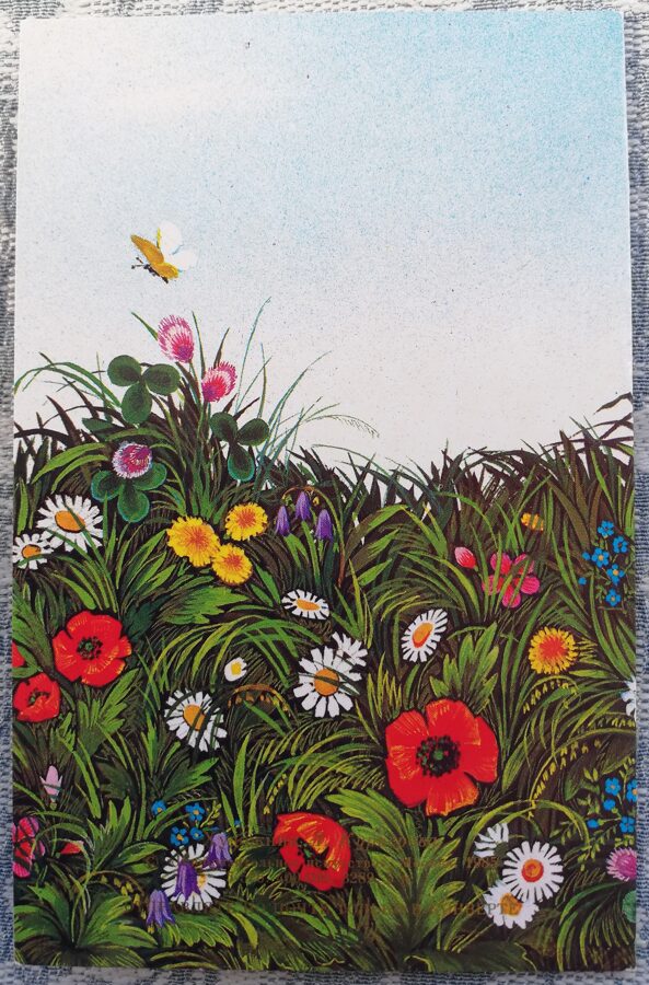 Congratulations 1985 Blooming field 9x14 cm USSR postcard  