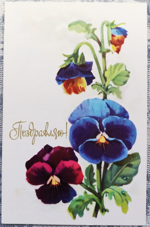 Congratulations 1975 Violet tricolor 9x14 cm USSR postcard  